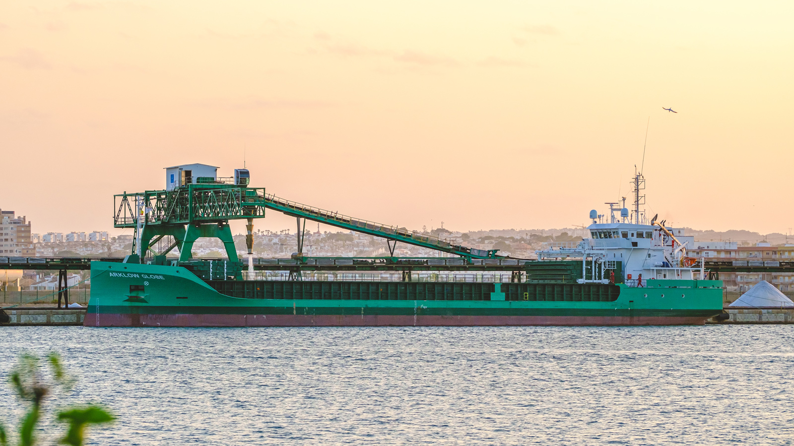 Arklow Globe