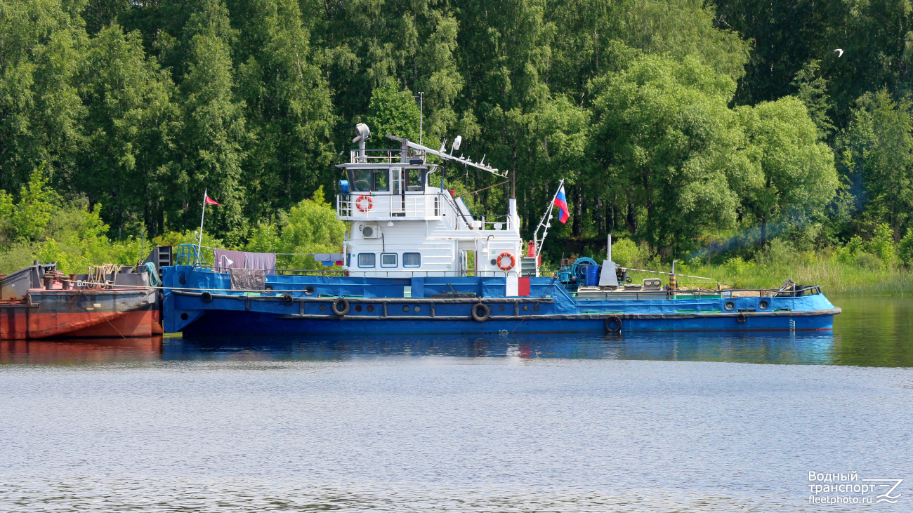 Волгарь