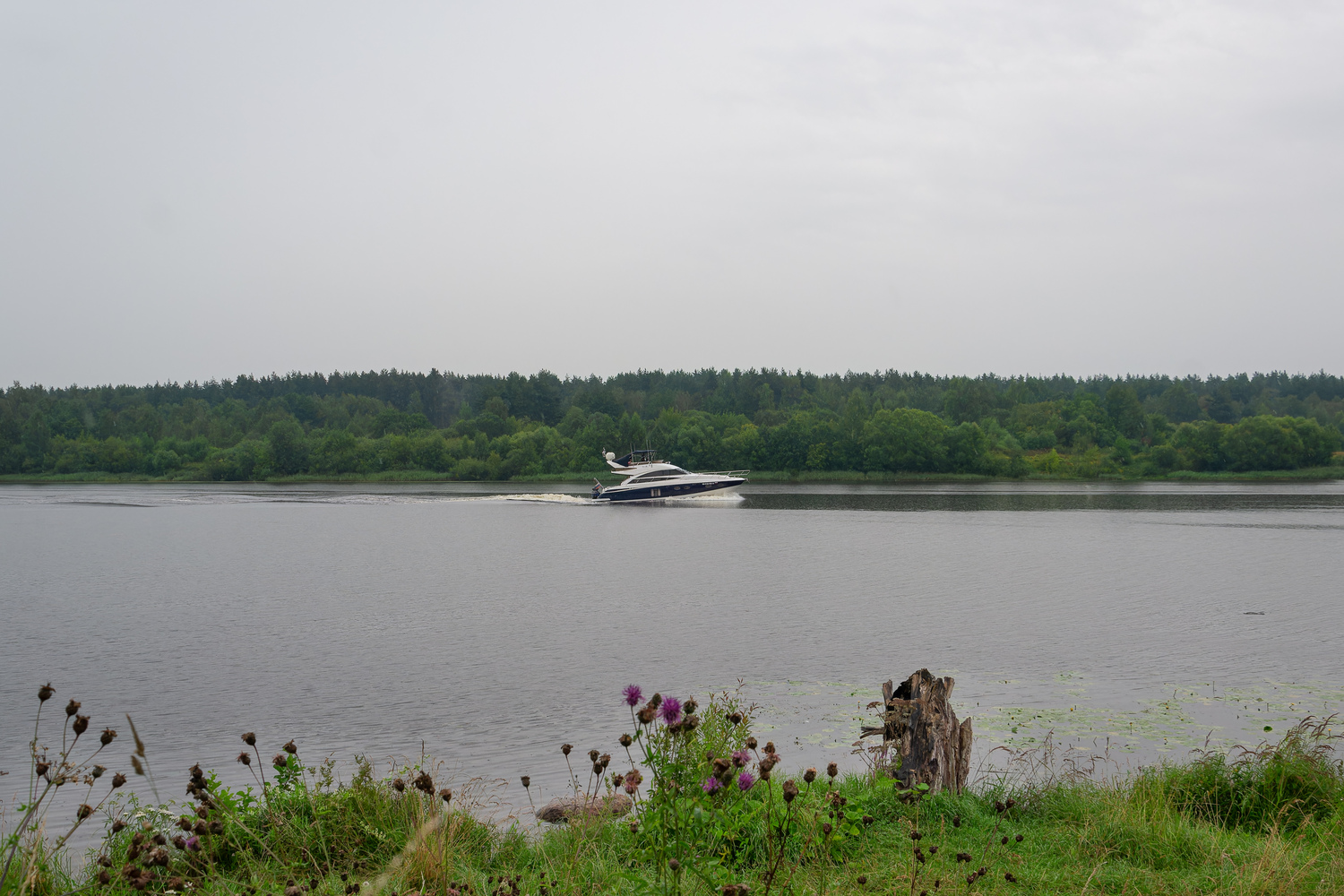 МА 5150 RUS 50