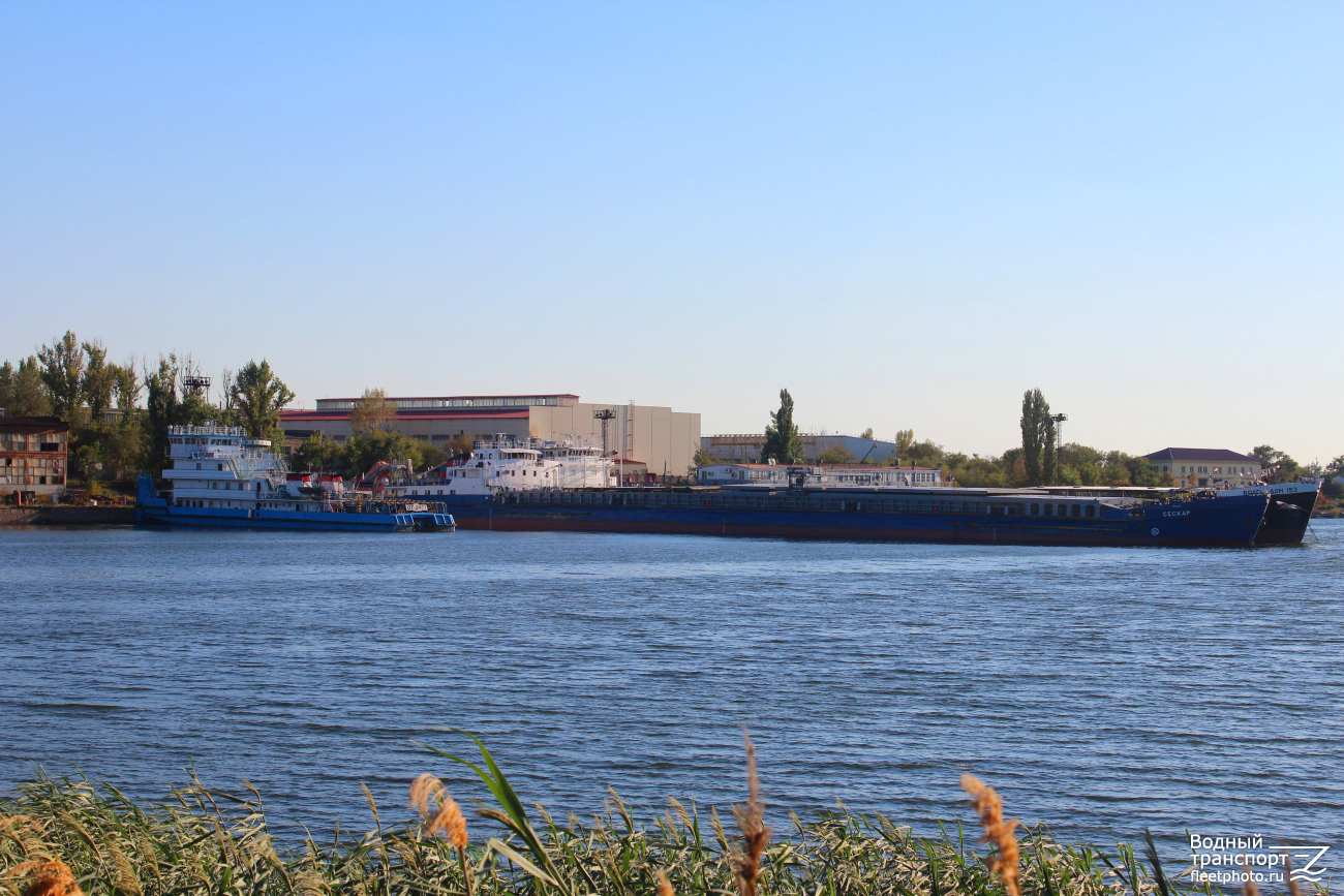 ОТ-2451, Сескар