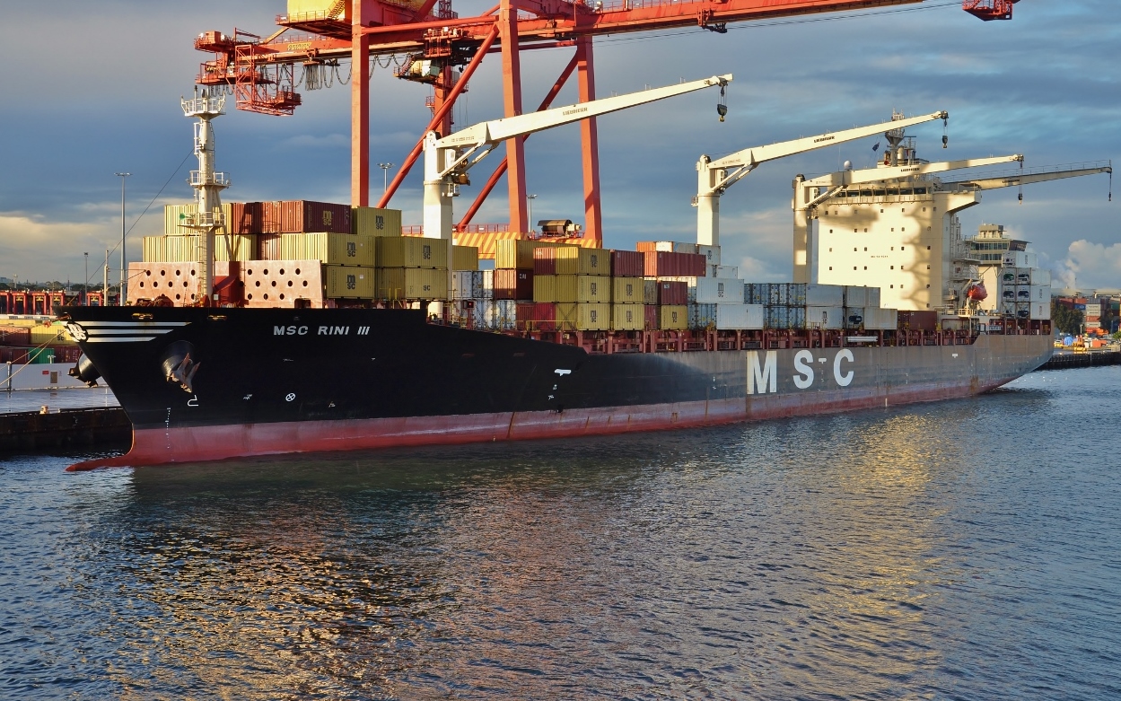 MSC Rini III