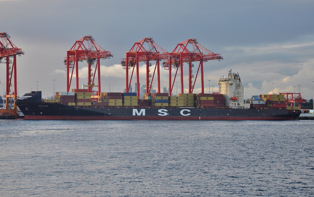 MSC Shahar