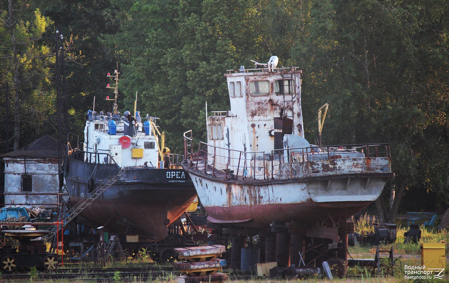 Орёл, Ремез