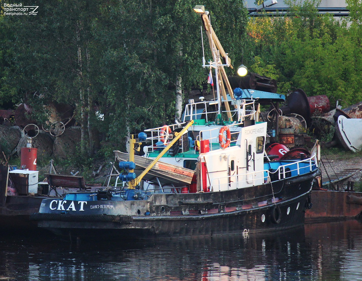Скат