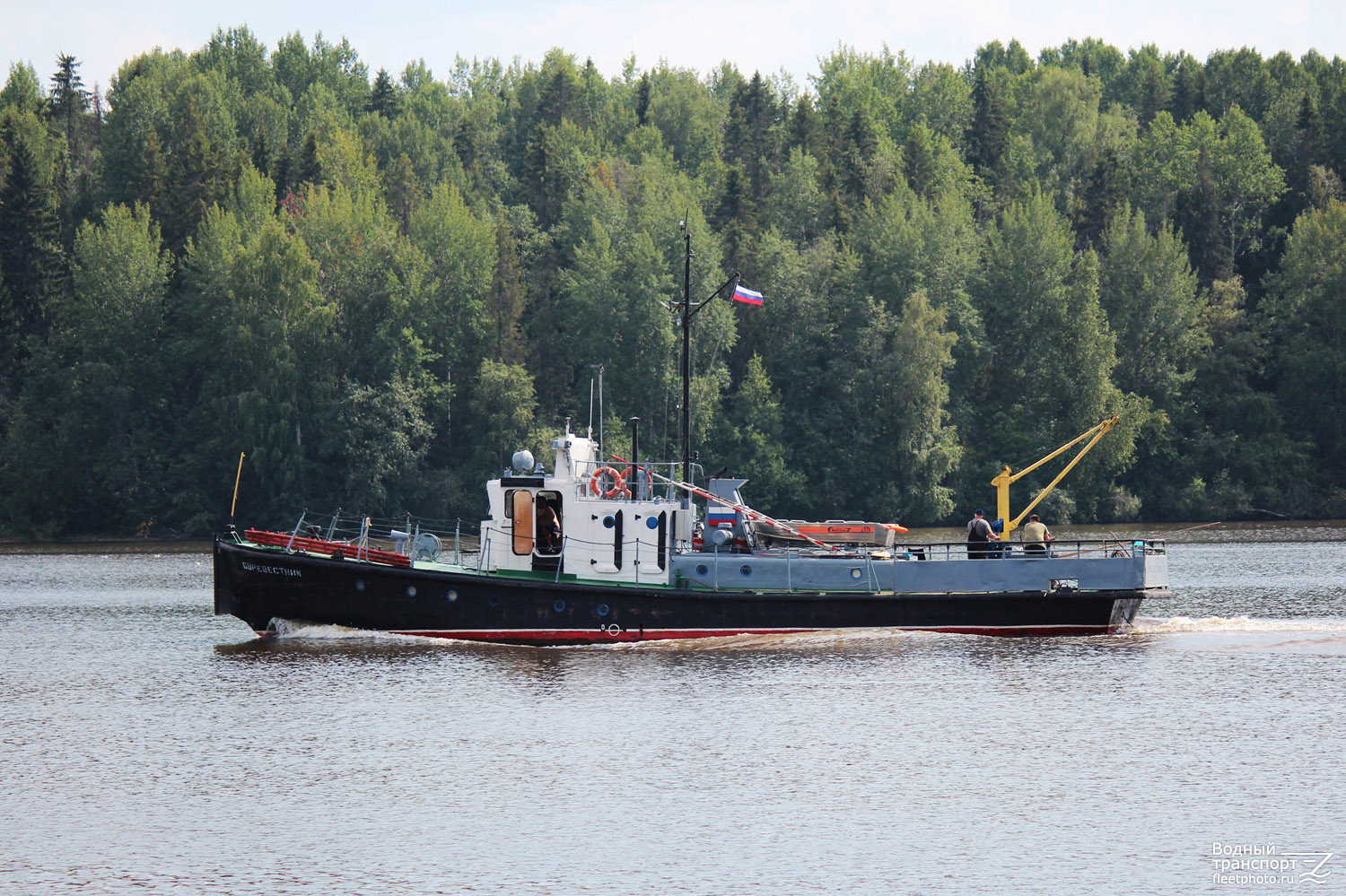 Буревестник