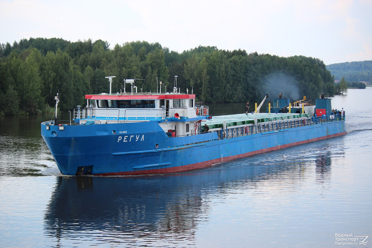 Регул