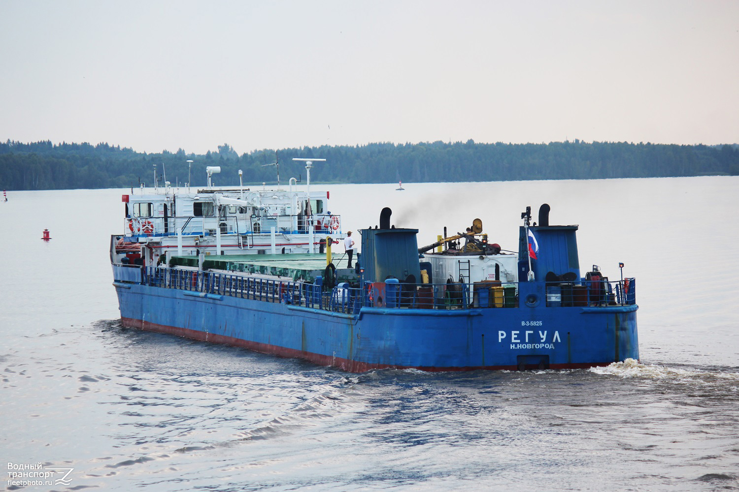 Регул