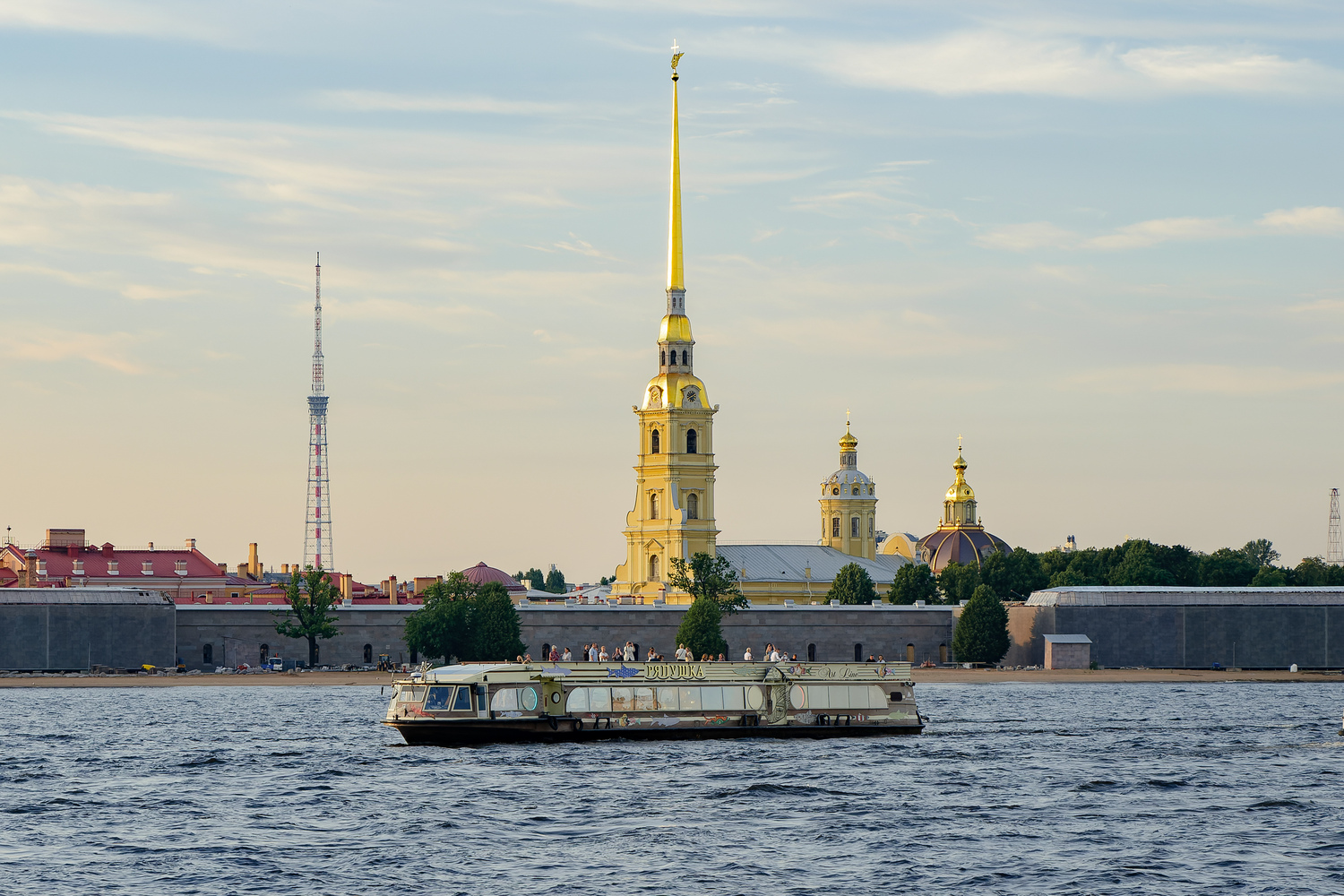 Ряпушка