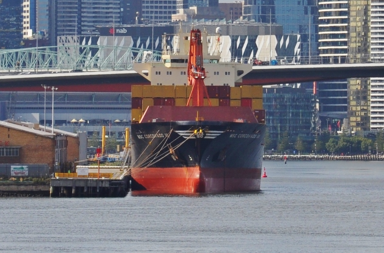 MSC Corcovado III