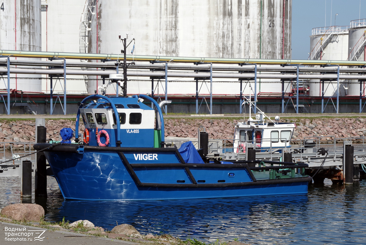Viiger