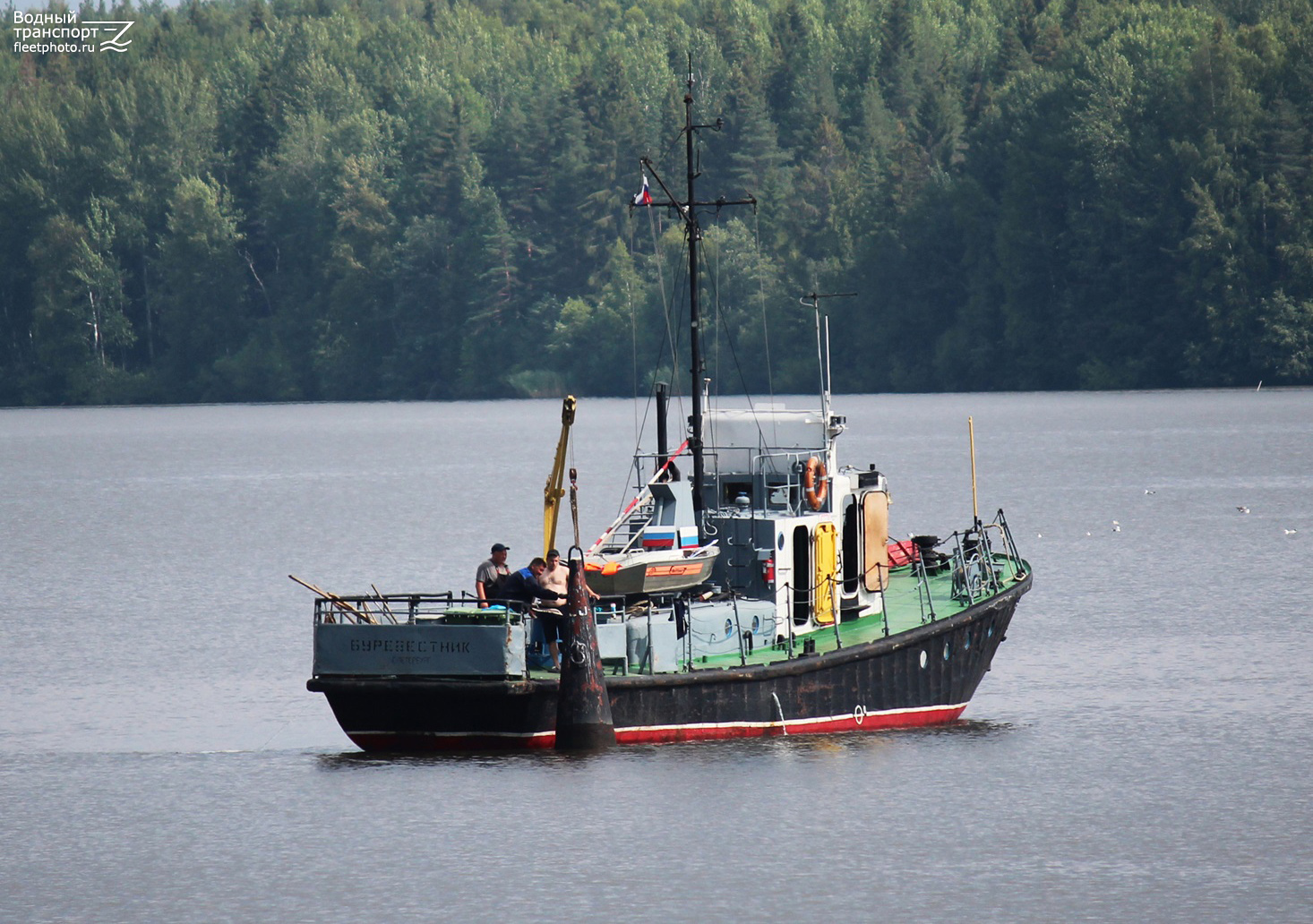 Буревестник