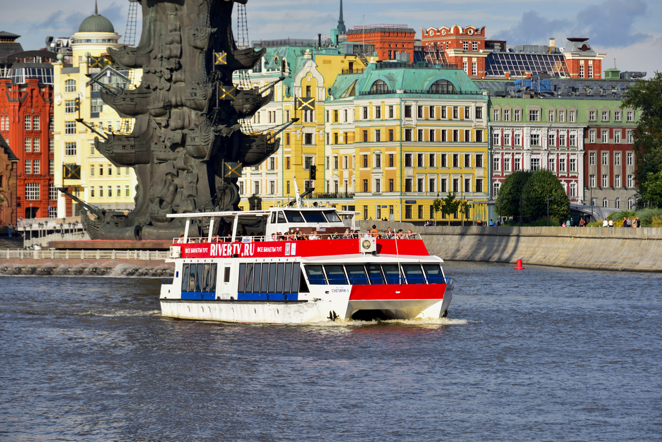 Снегири-1