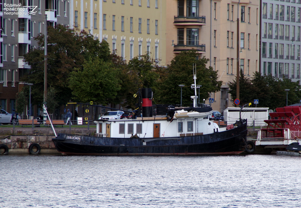 Isbjörn