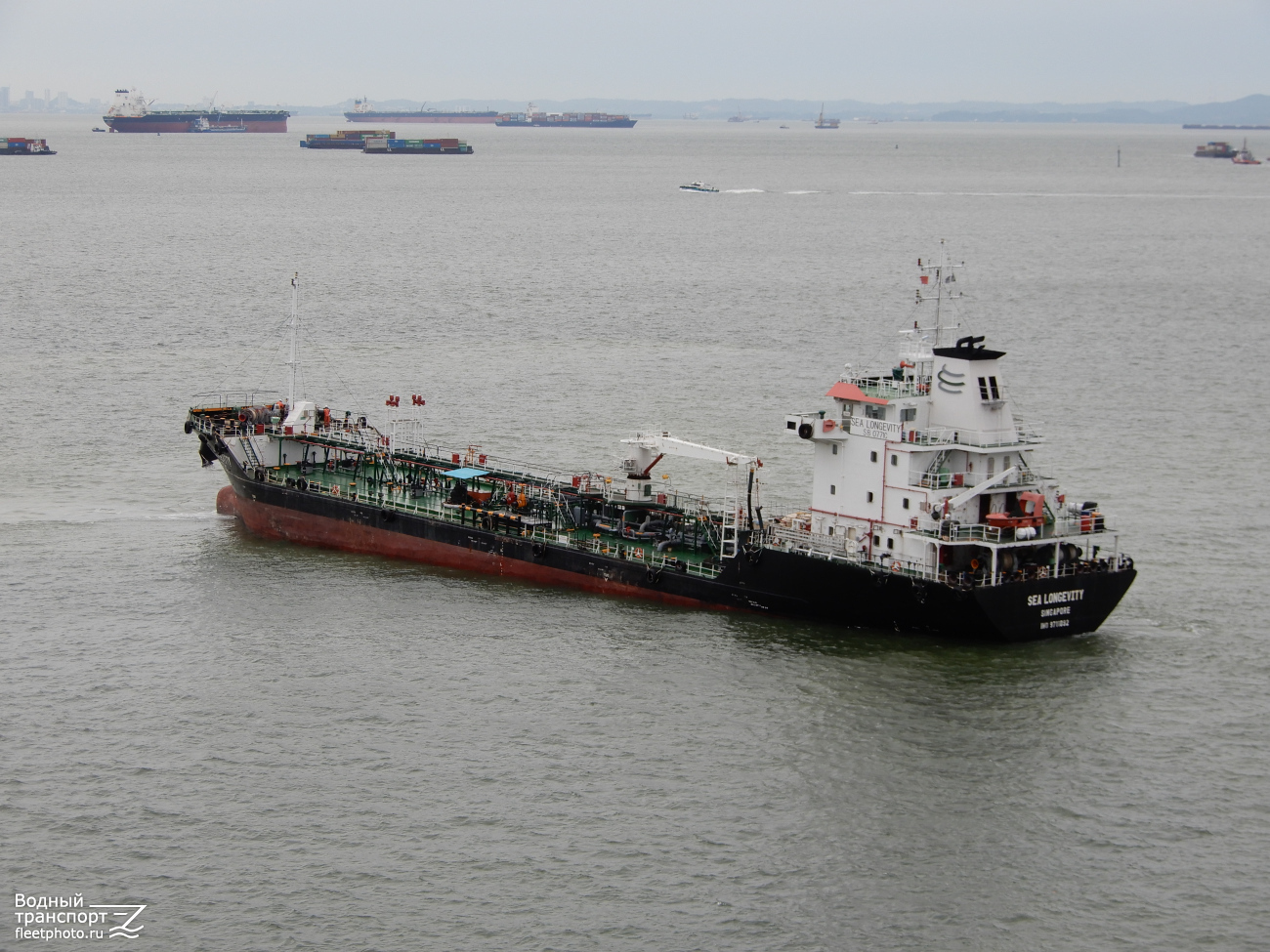 Sea Longevity