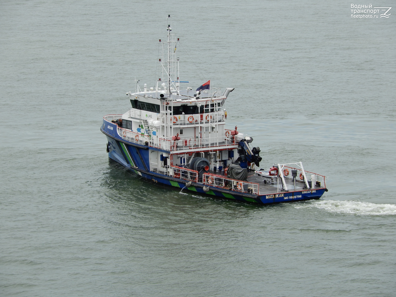 Mata Ikan