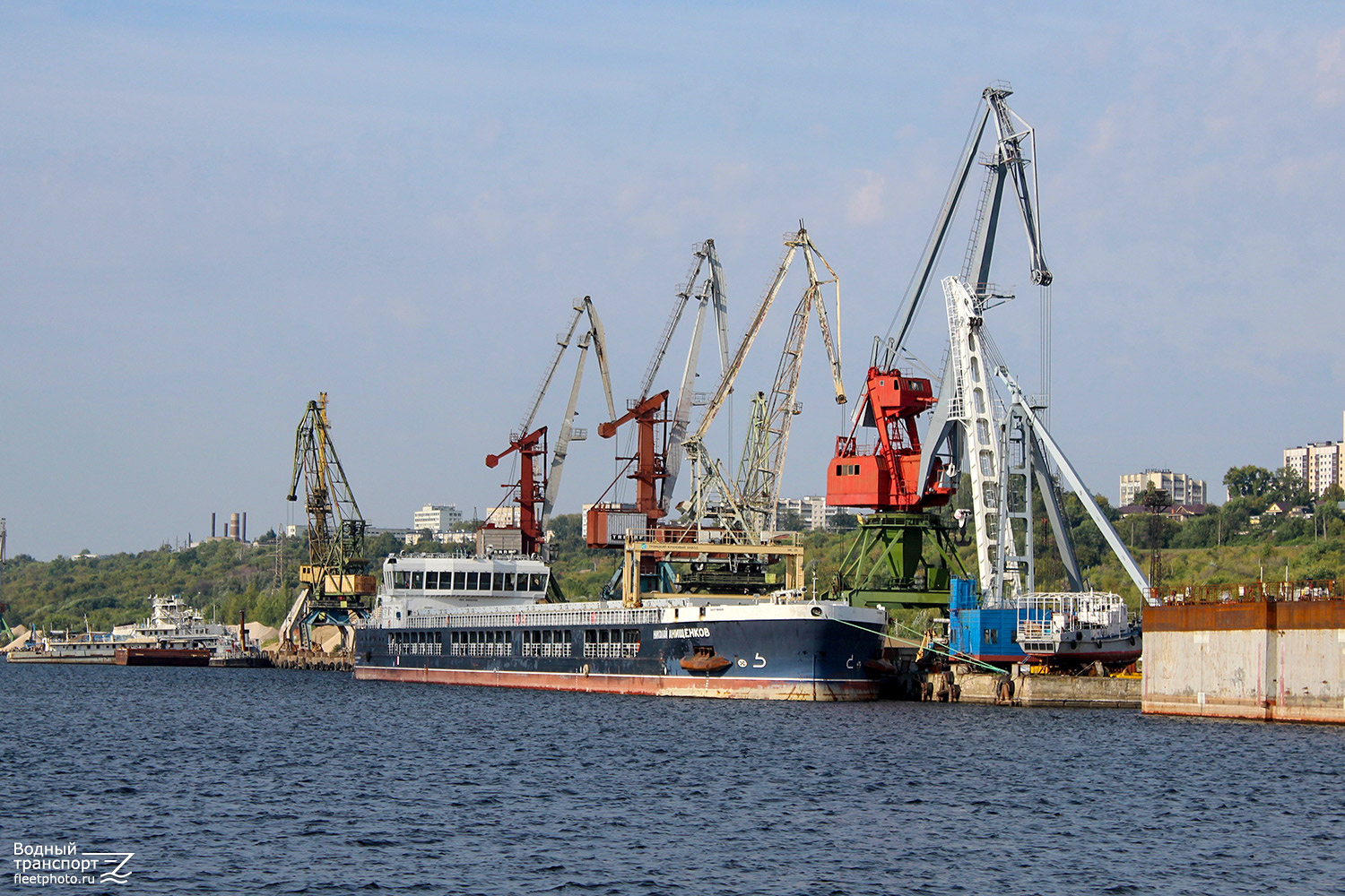 Николай Анищенков