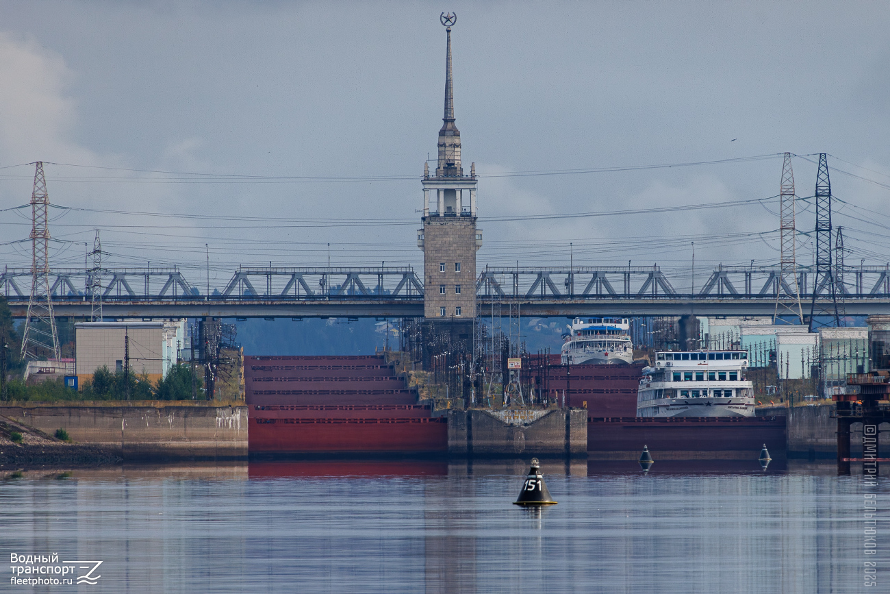 Виссарион Белинский, Александр Невский