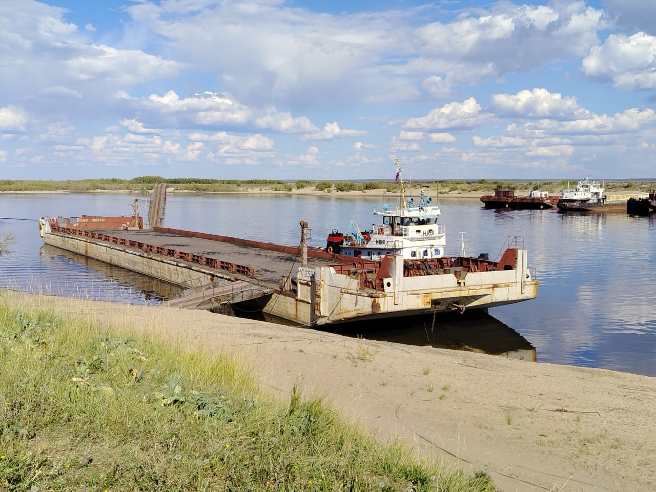 МП-2599