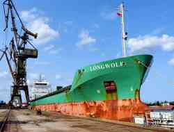 Longwolf (Ferus 11000 design, Groningen)