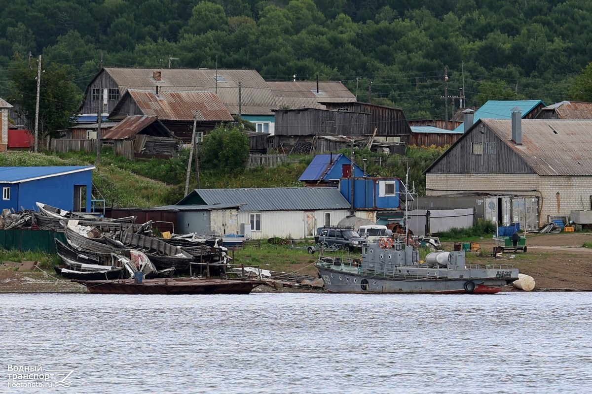 Видный. Амурский бассейн