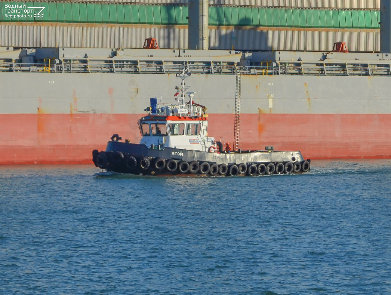 Агой