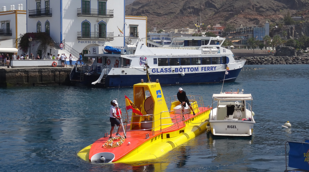 Golden Shark, N. Cala Castell, Rigel