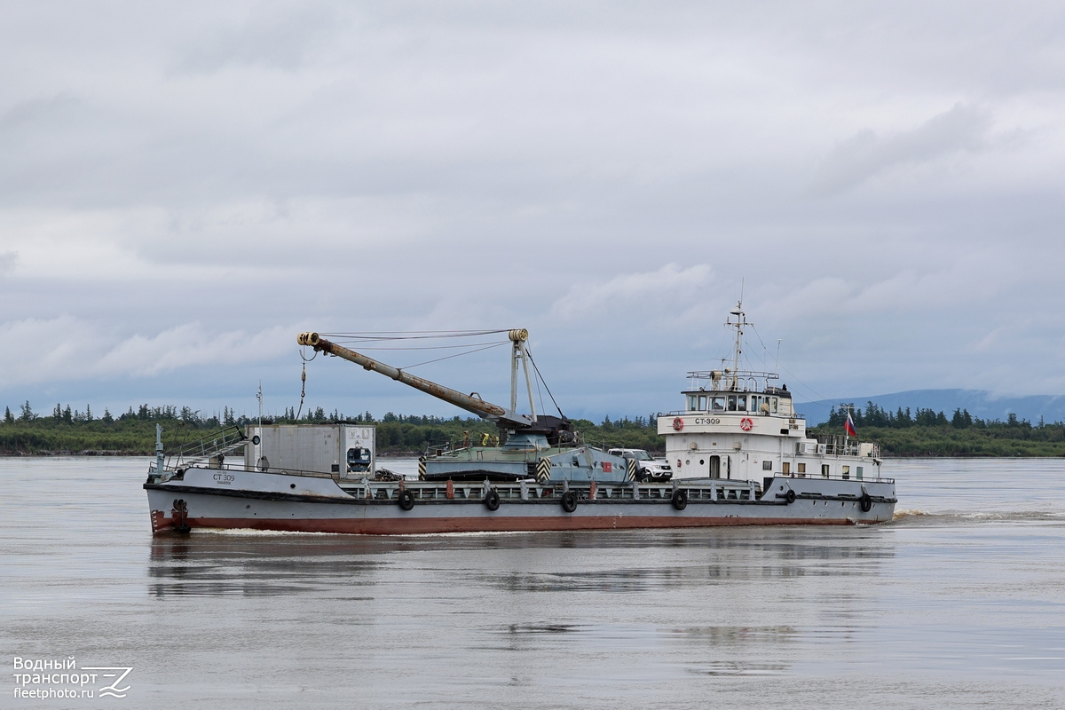 СТ-309