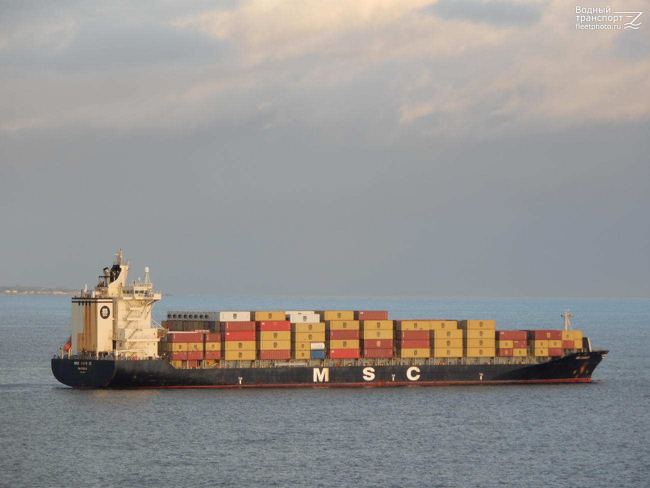 MSC Cape III