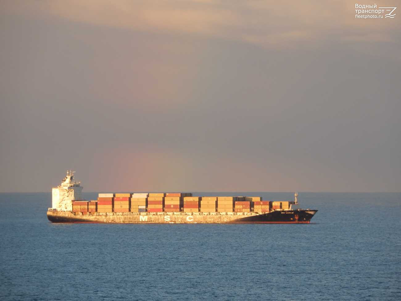 MSC Cape III