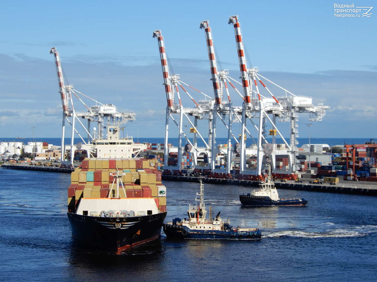 MSC Cape III, Svitzer Falcon, Svitzer Fiona