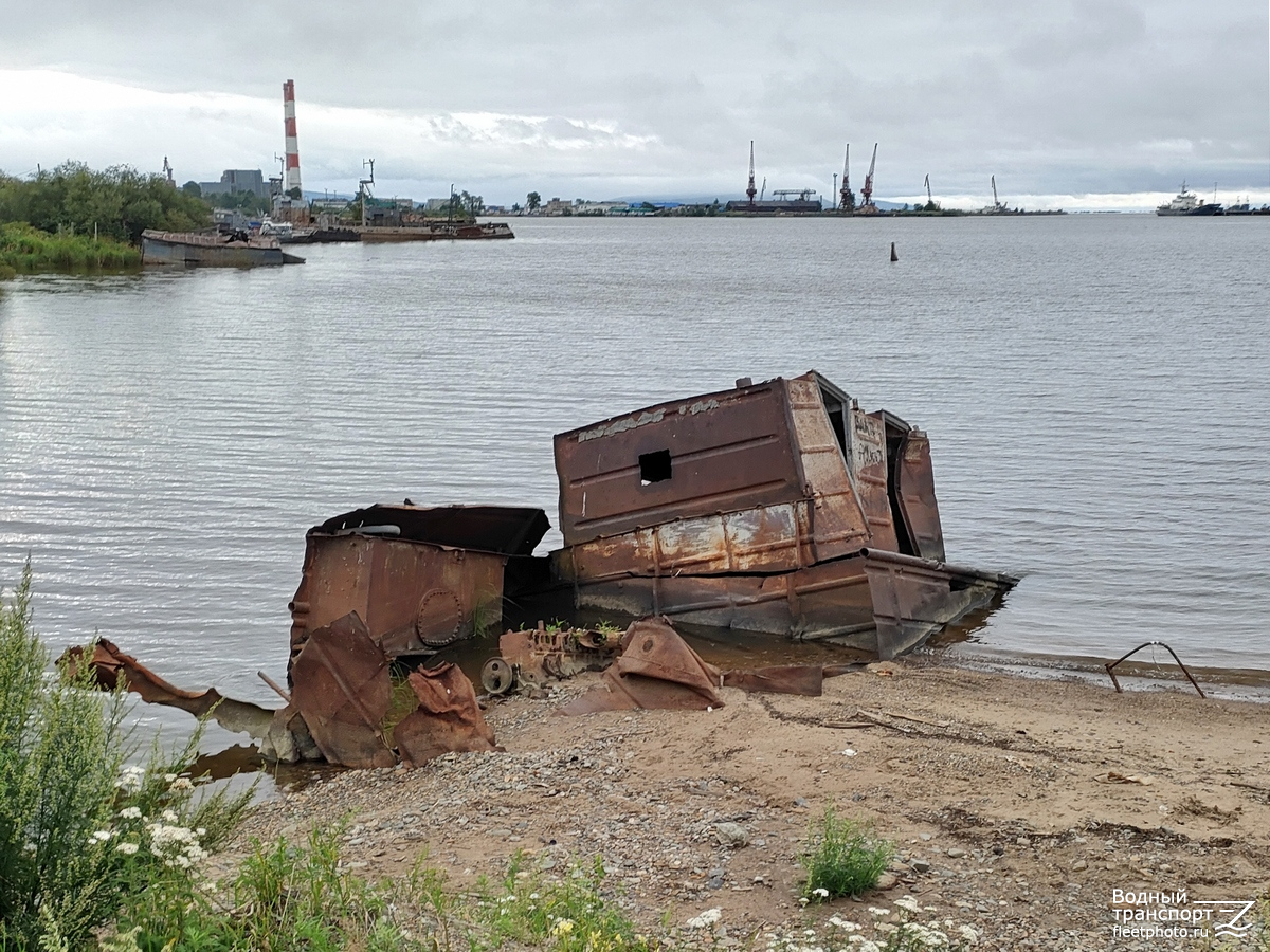 Амурский бассейн