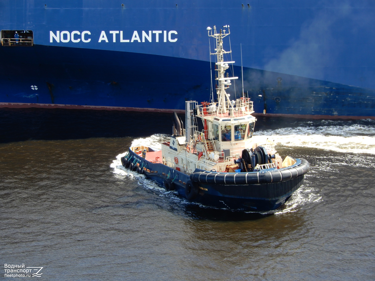 Svitzer Falcon