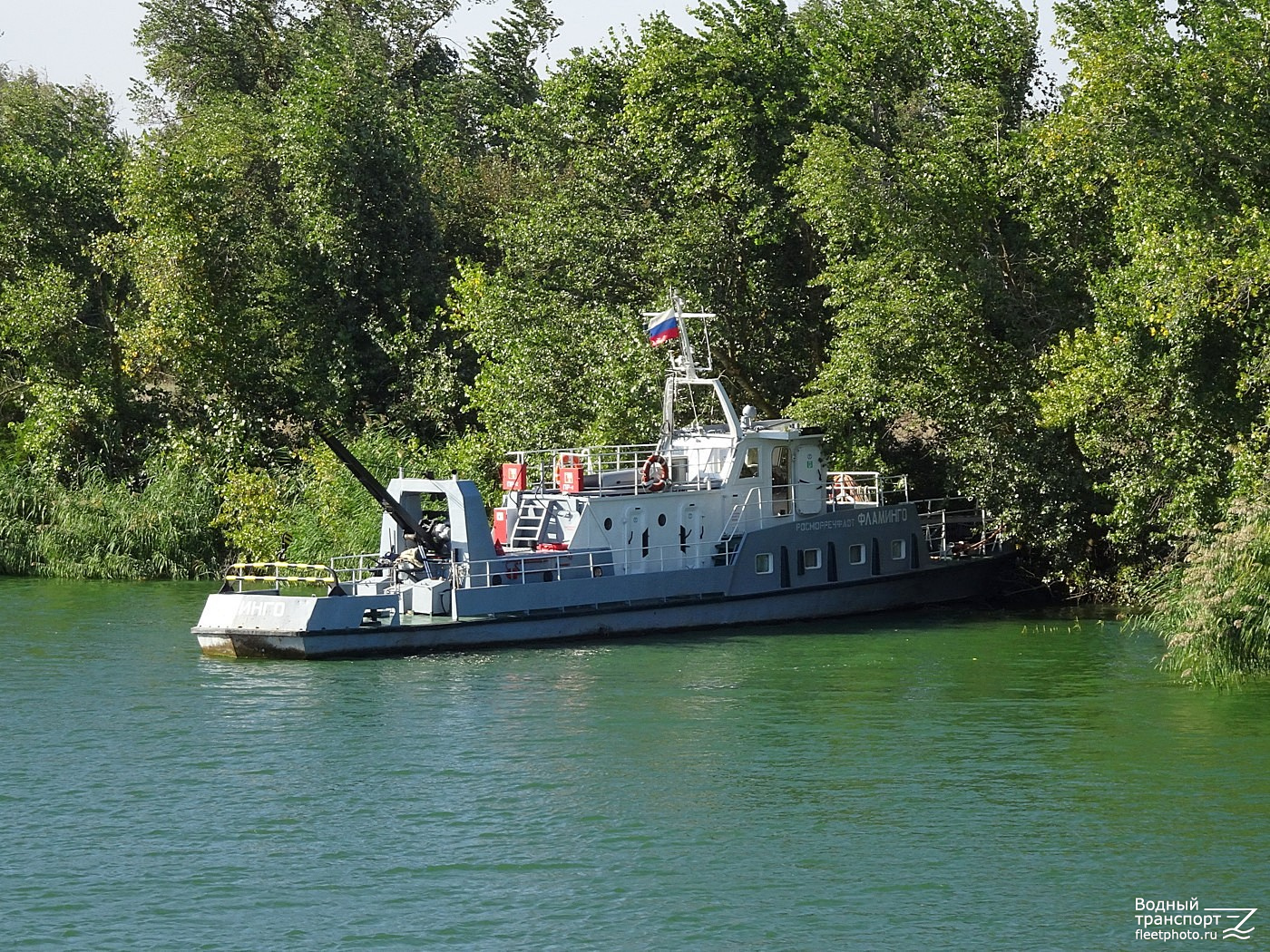Фламинго