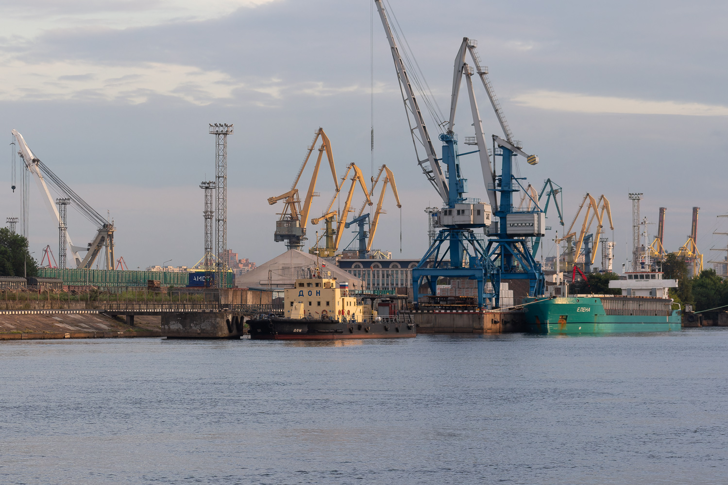 Дон, Елена