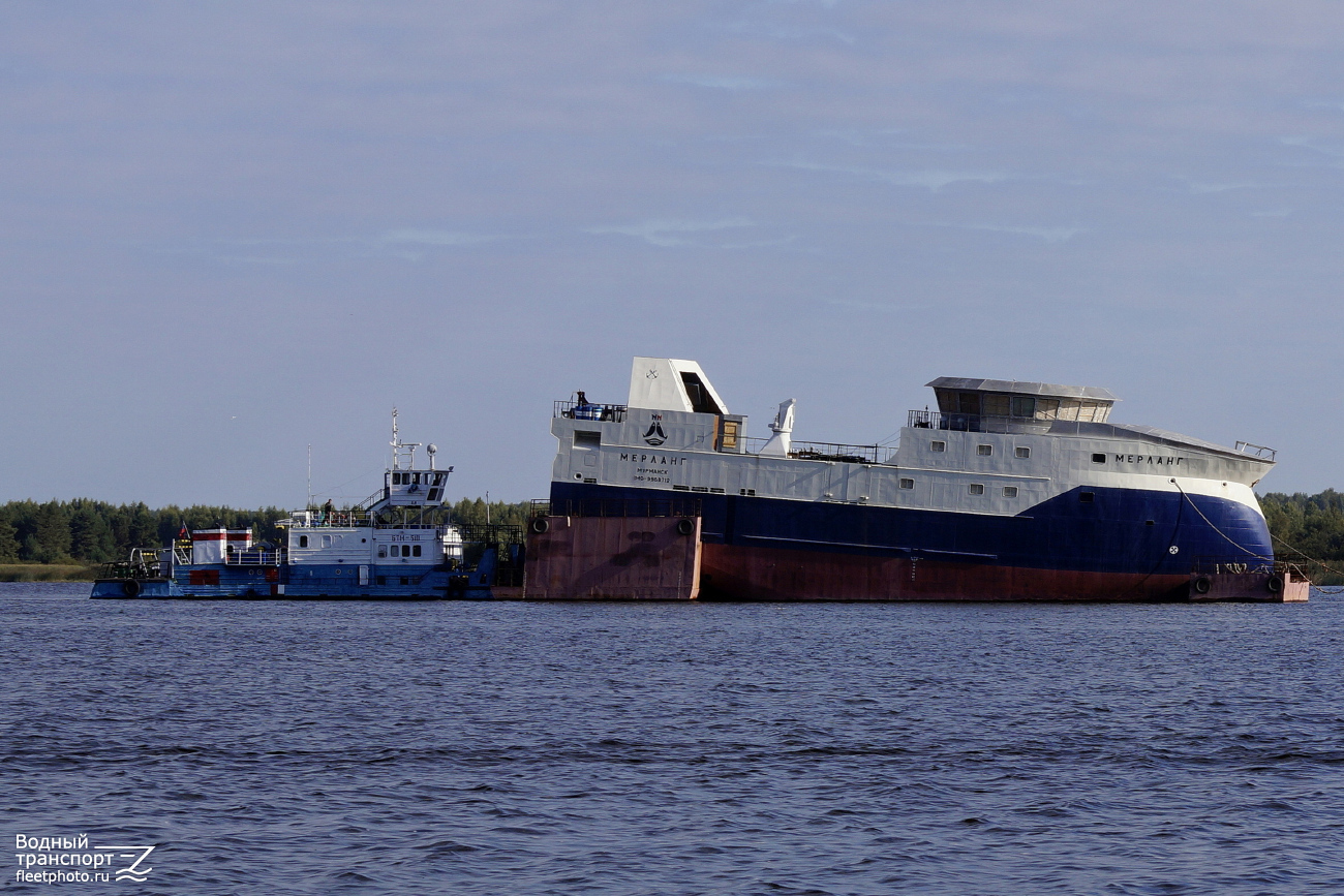 БТМ-510, Мерланг БТМ-510, Мерланг
