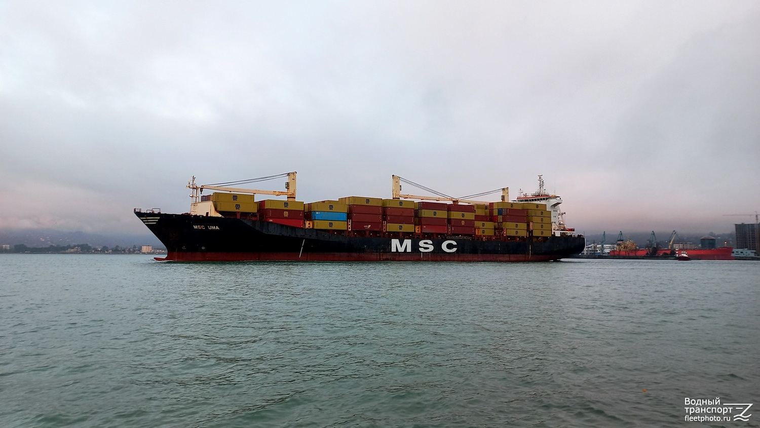 MSC Uma