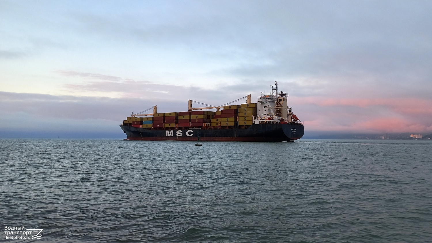 MSC Uma