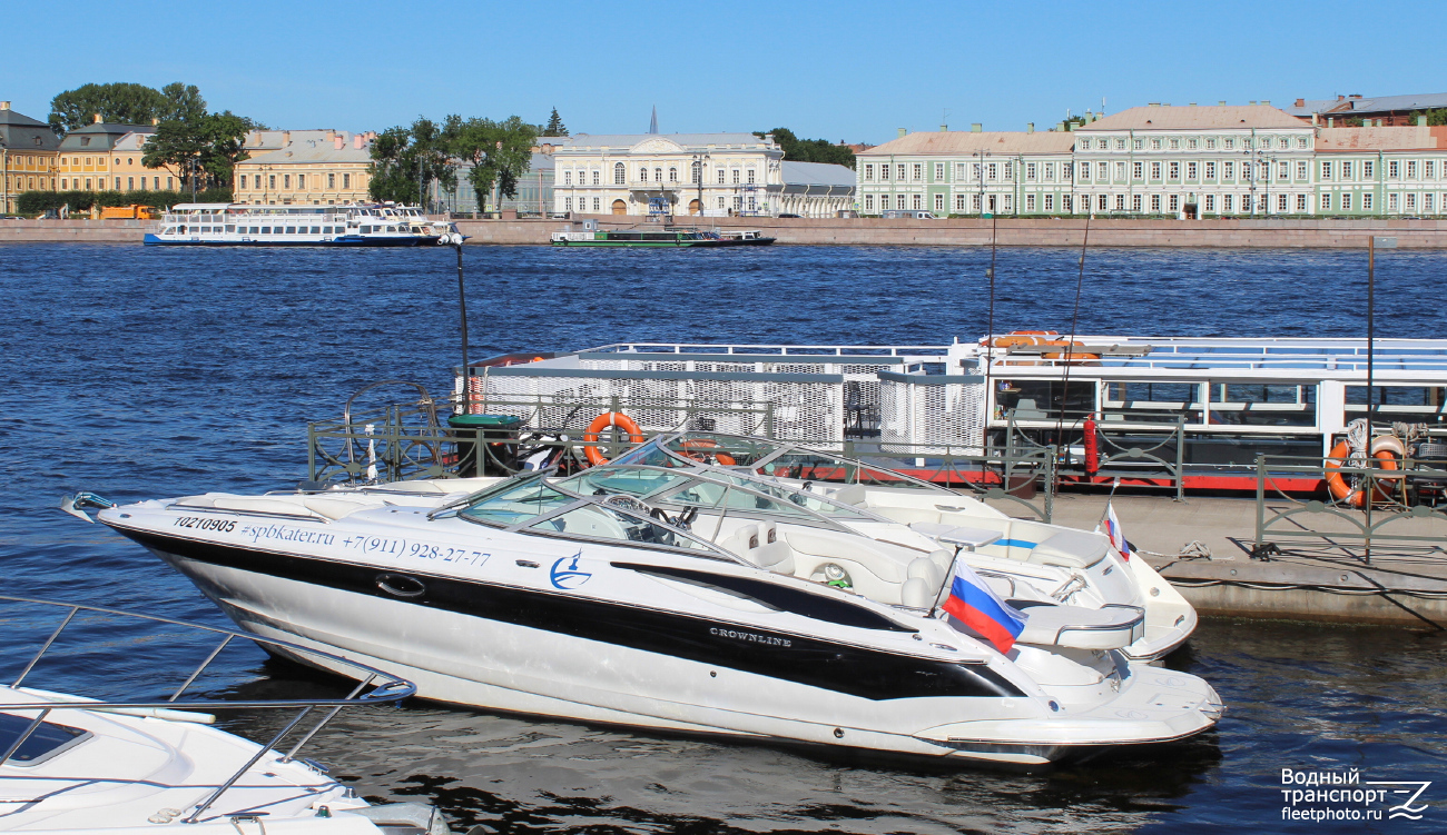 Кролик