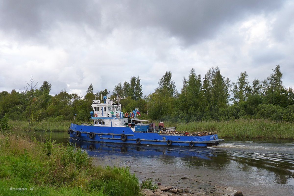 Адлер