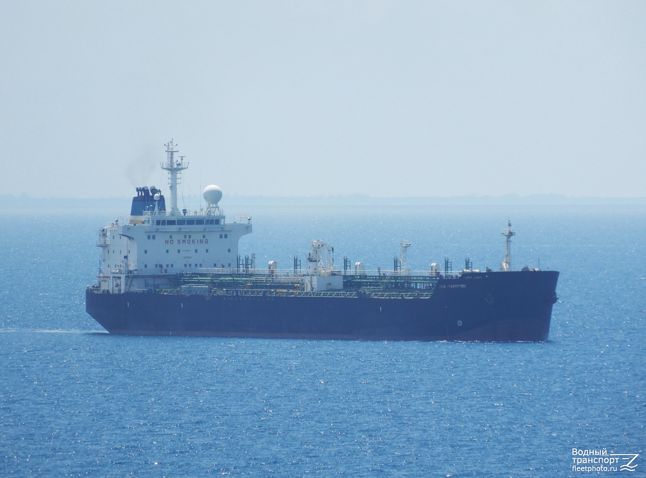 Sea Champion