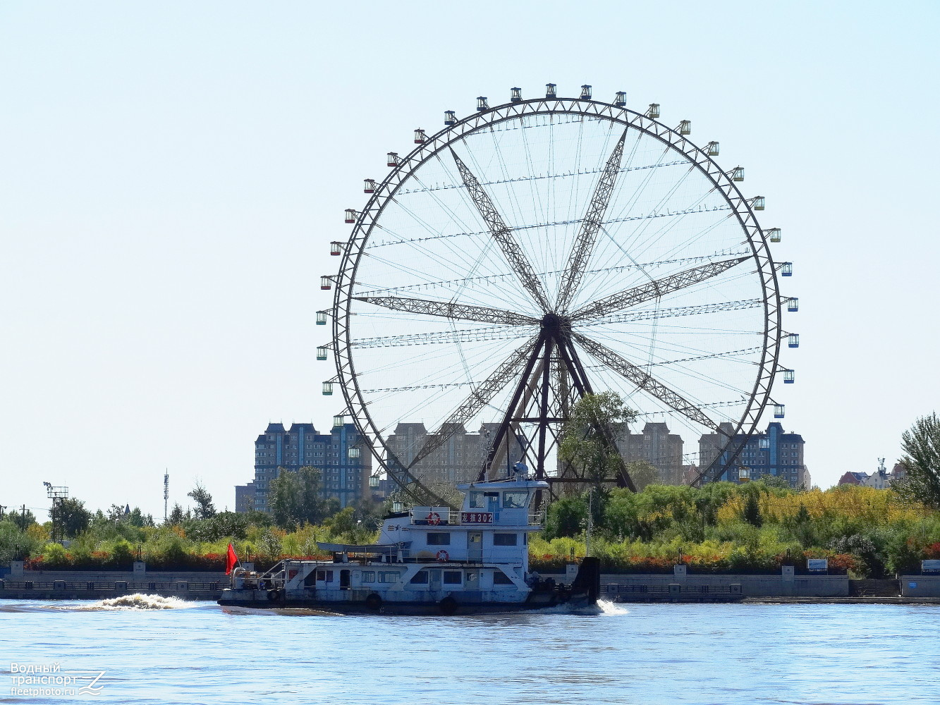 Long Tui 302 Long Tui 302