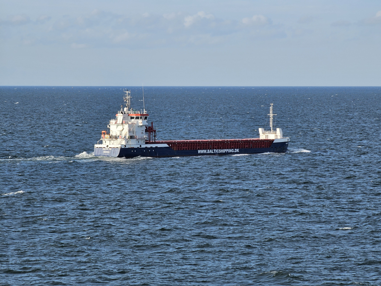 Baltic Fin Baltic Fin