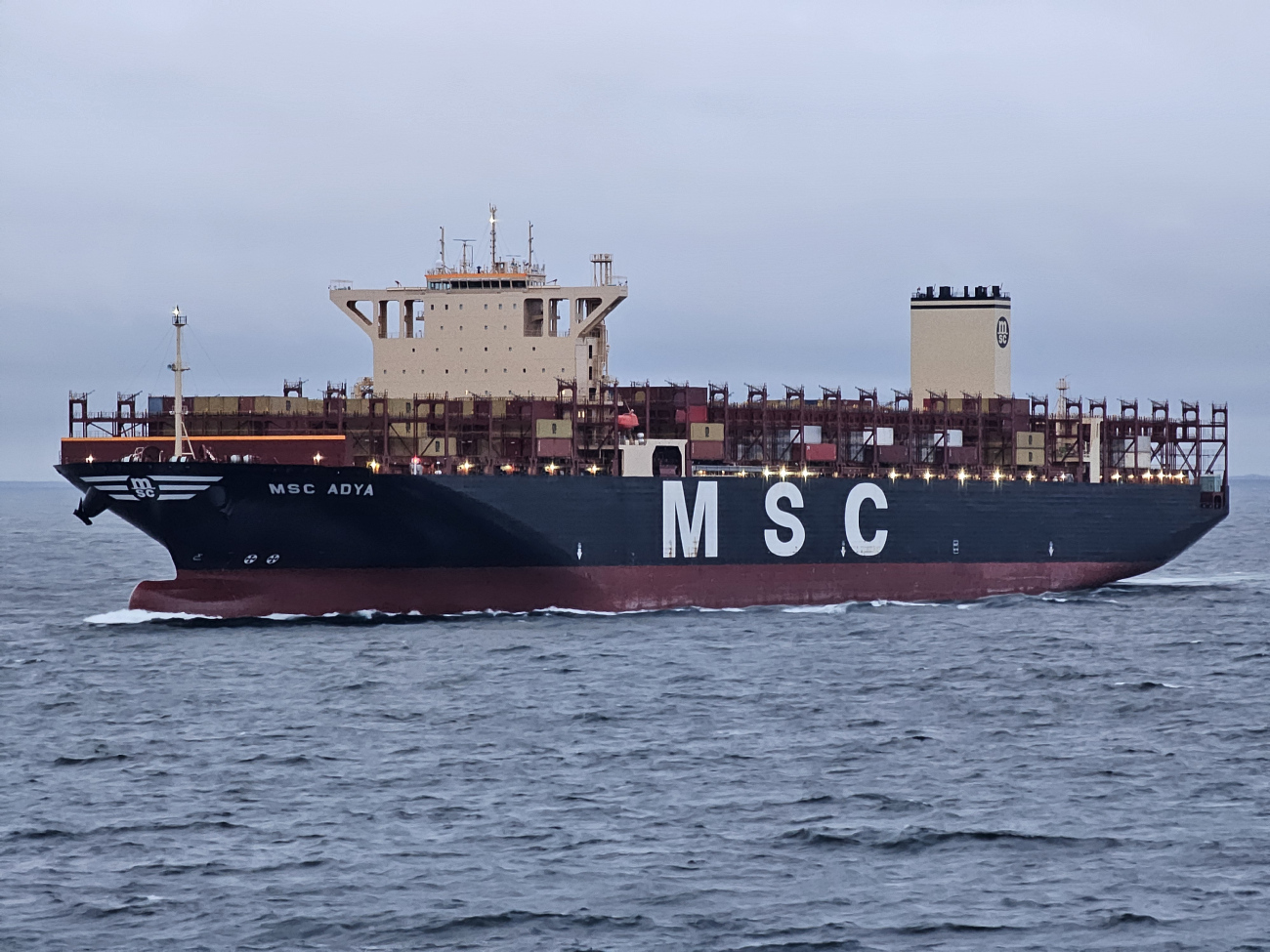 MSC Adya