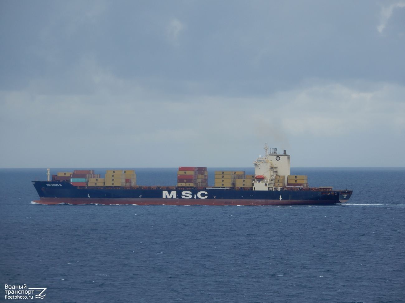 MSC Korea III