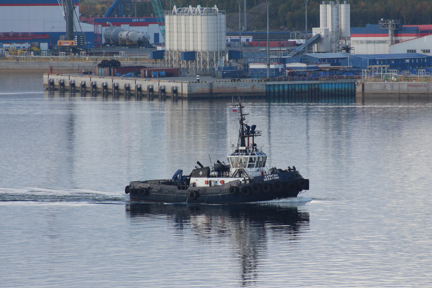 Капитан Шебалкин