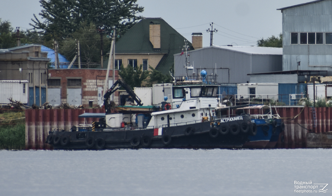 Астраханец