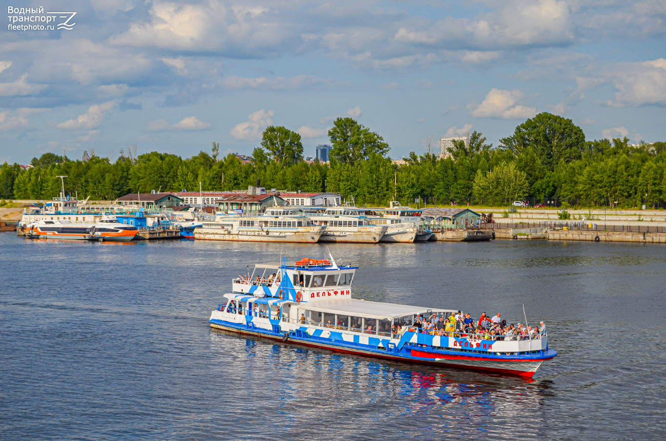 Капитан Полуэктов, Московский-21, Дельфин