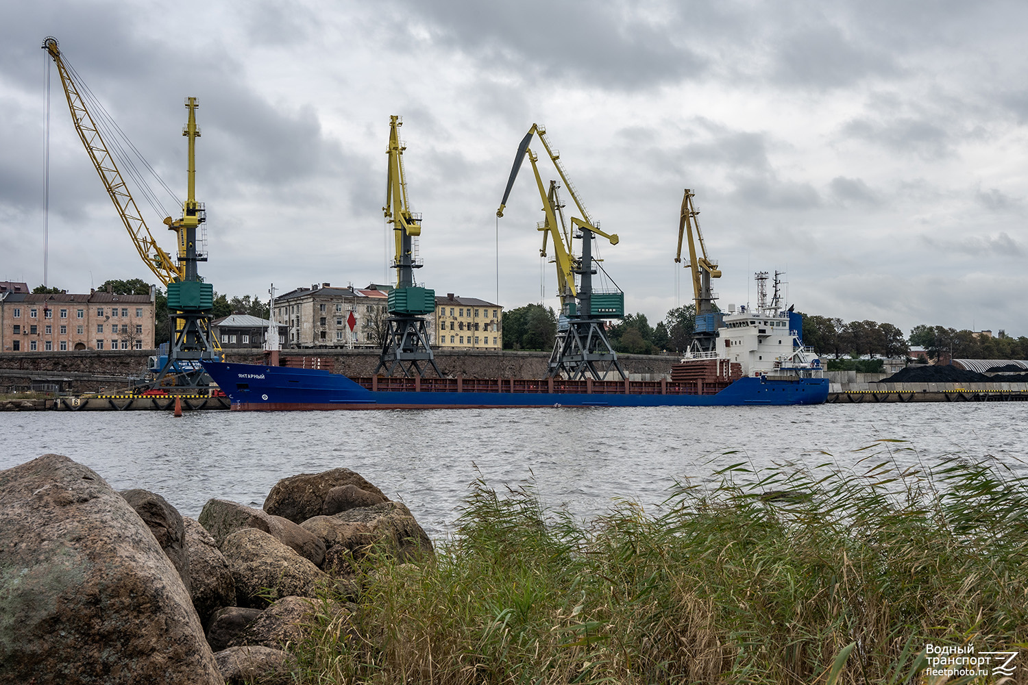 Янтарный