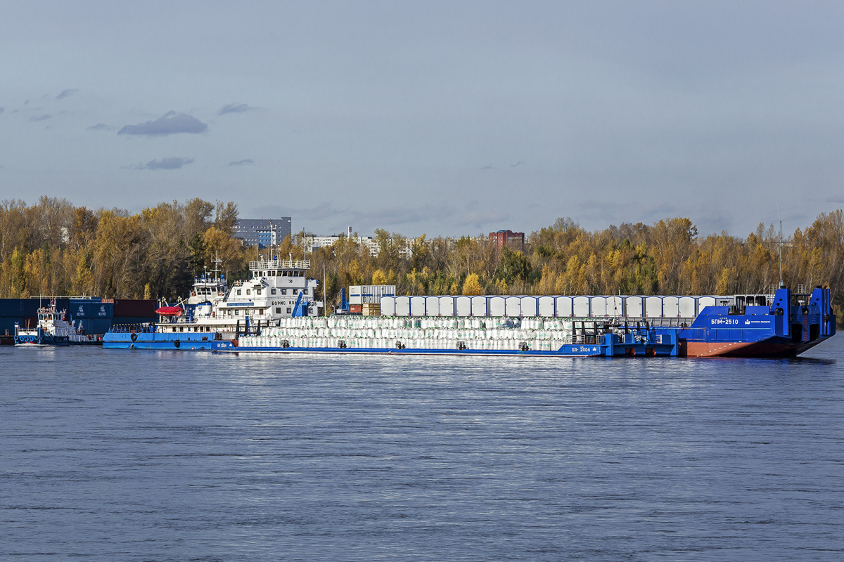 Борис Колесников, БП-2004