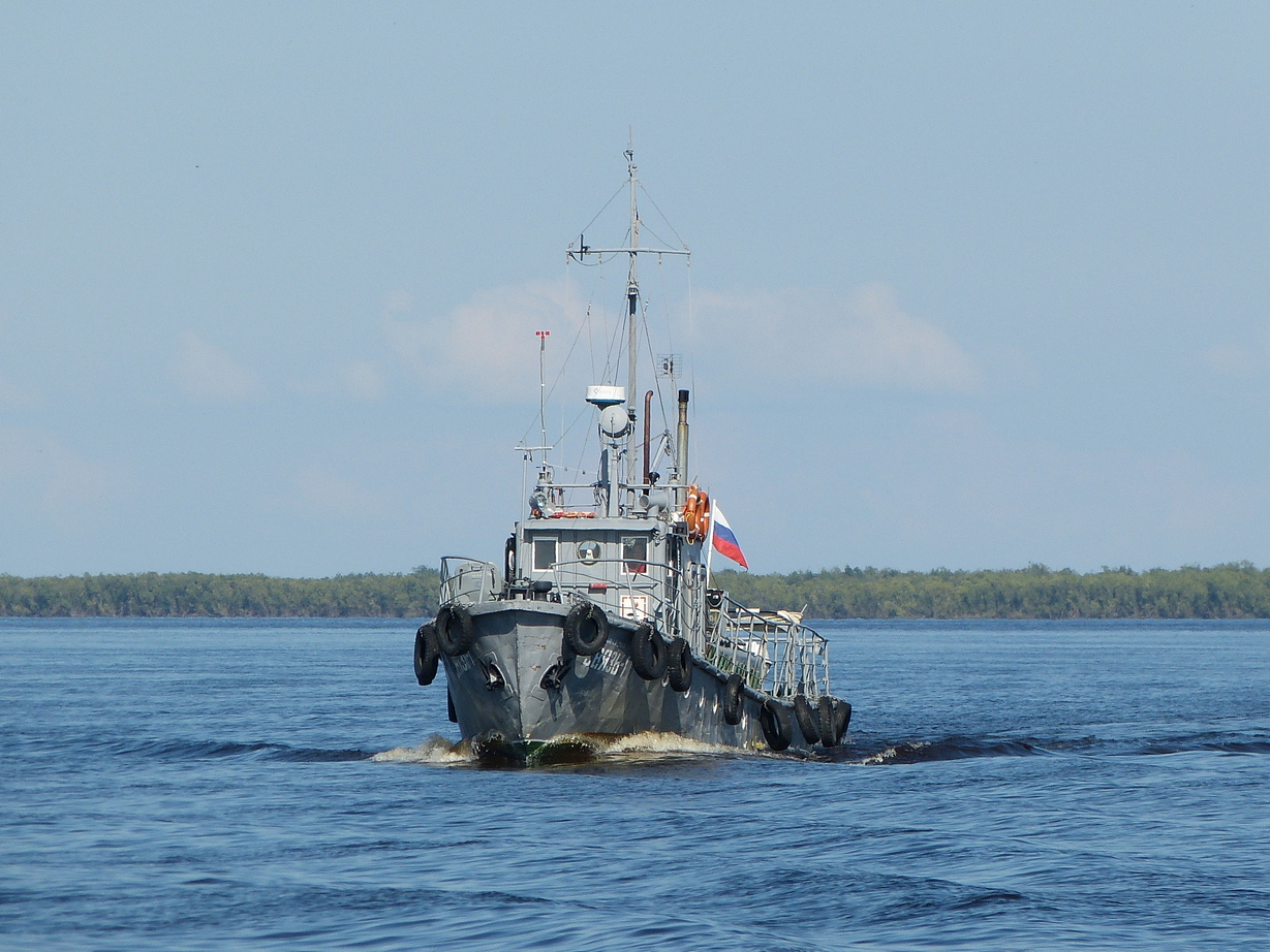 Связь-1